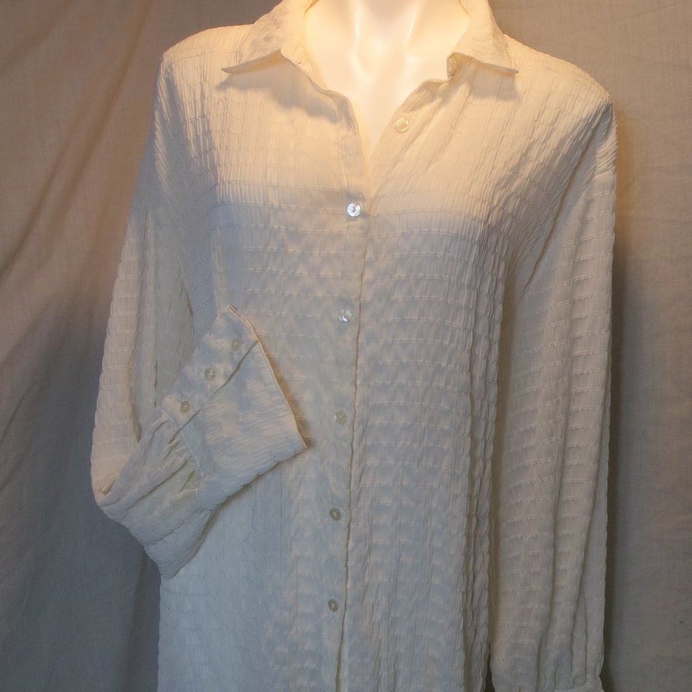 Free people oversized blouse